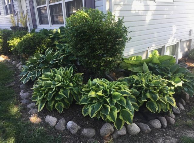 21895 GREEN VALLEY Avenue, Council Bluffs, IA 51503