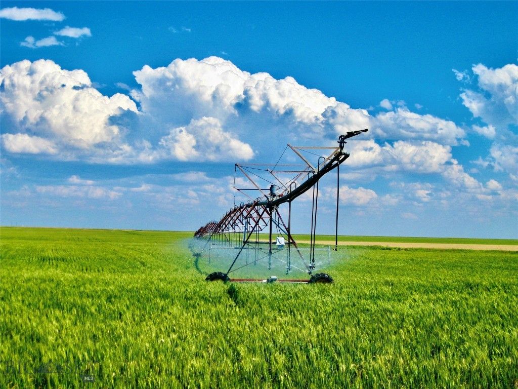 TBD Buena Vista Road, Valier, MT 59486