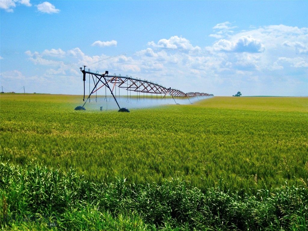 TBD Buena Vista Road, Valier, MT 59486 photo 2