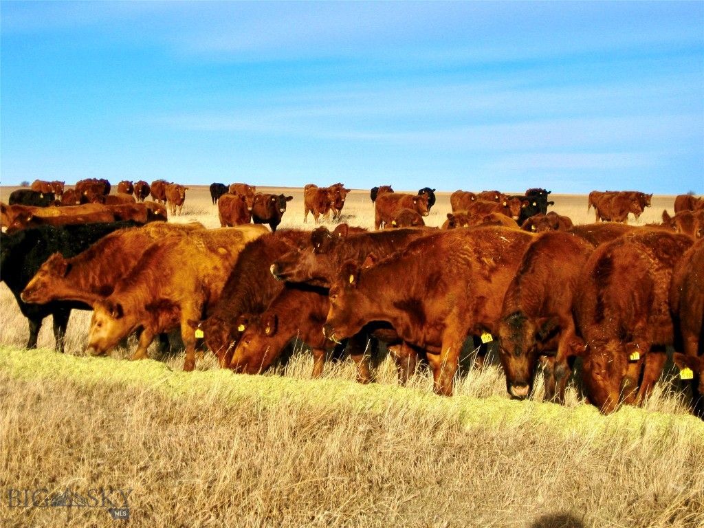 TBD Buena Vista Road, Valier, MT 59486 photo 27