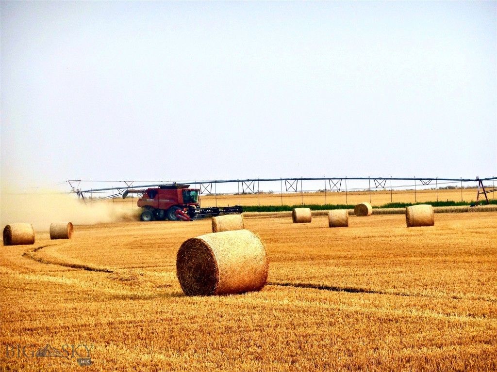 TBD Buena Vista Road, Valier, MT 59486 photo 28