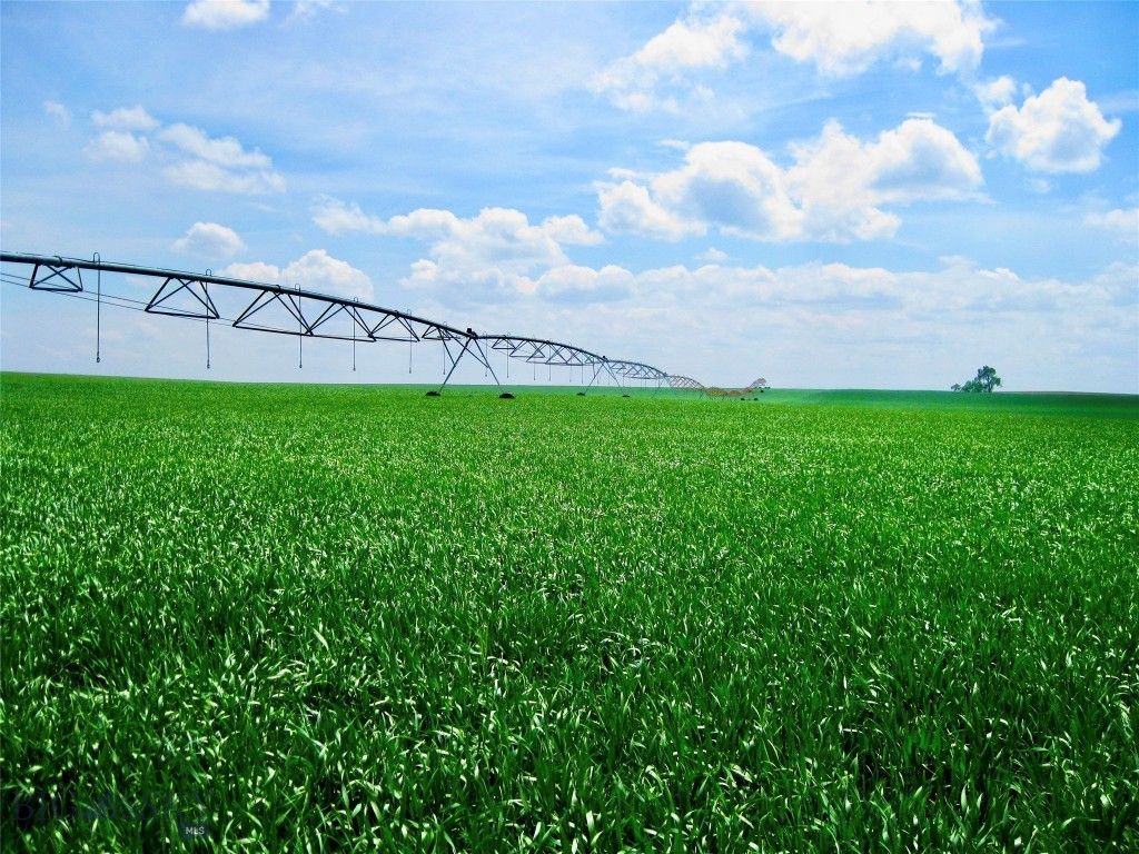 TBD Buena Vista Road, Valier, MT 59486 photo 3