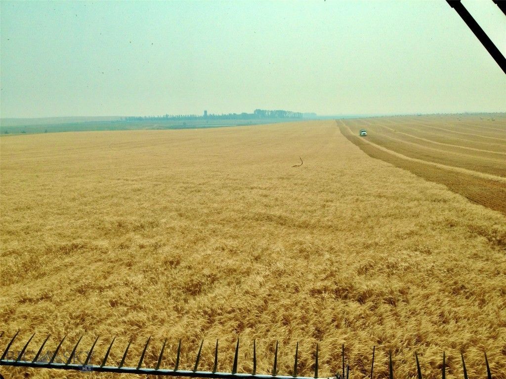 TBD Buena Vista Road, Valier, MT 59486 photo 30