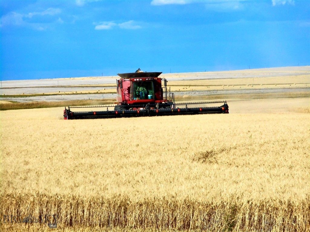 TBD Buena Vista Road, Valier, MT 59486 photo 32