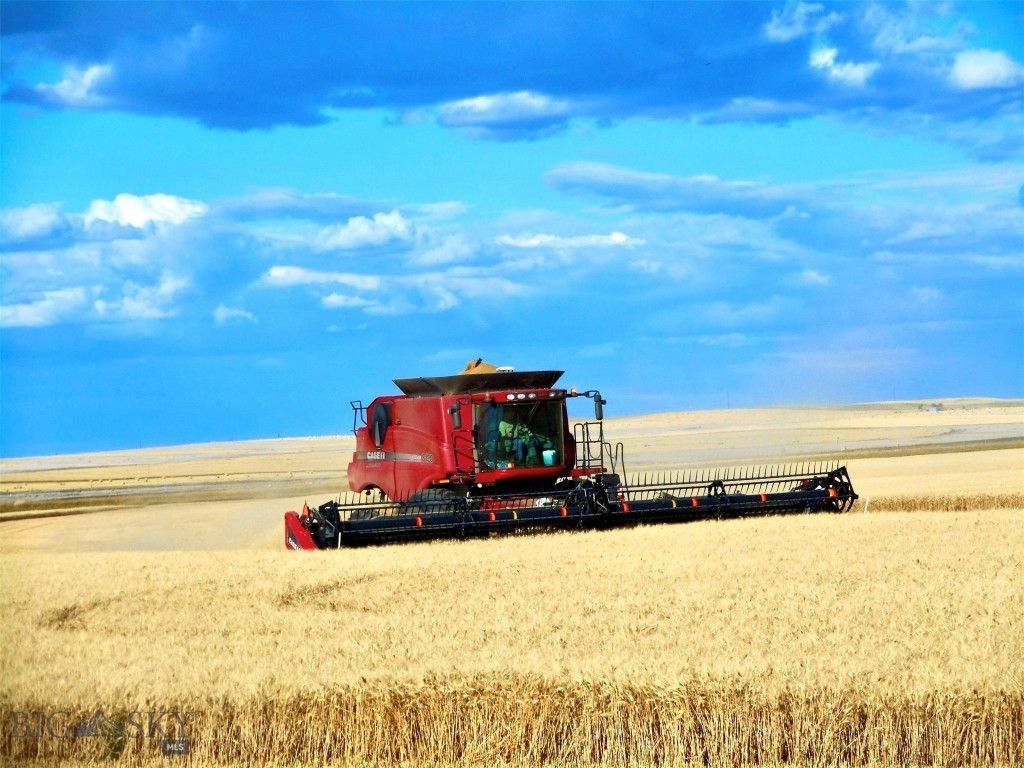 TBD Buena Vista Road, Valier, MT 59486 photo 33