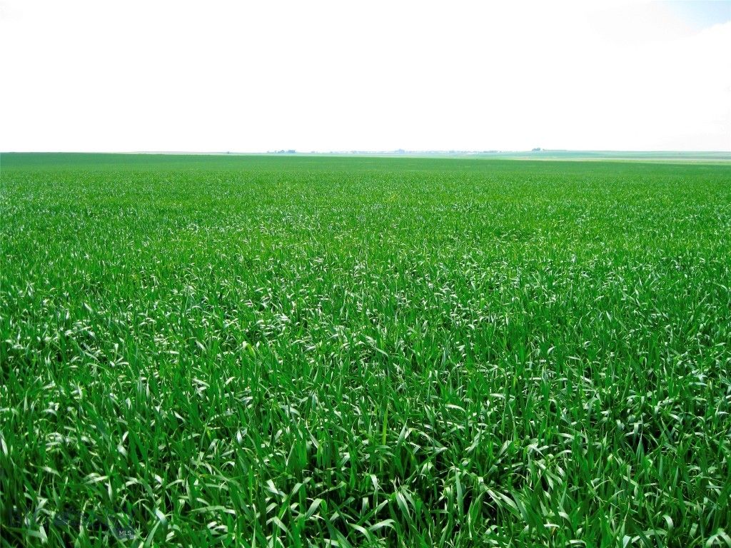 TBD Buena Vista Road, Valier, MT 59486 photo 37