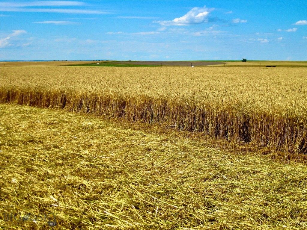 TBD Buena Vista Road, Valier, MT 59486 photo 38