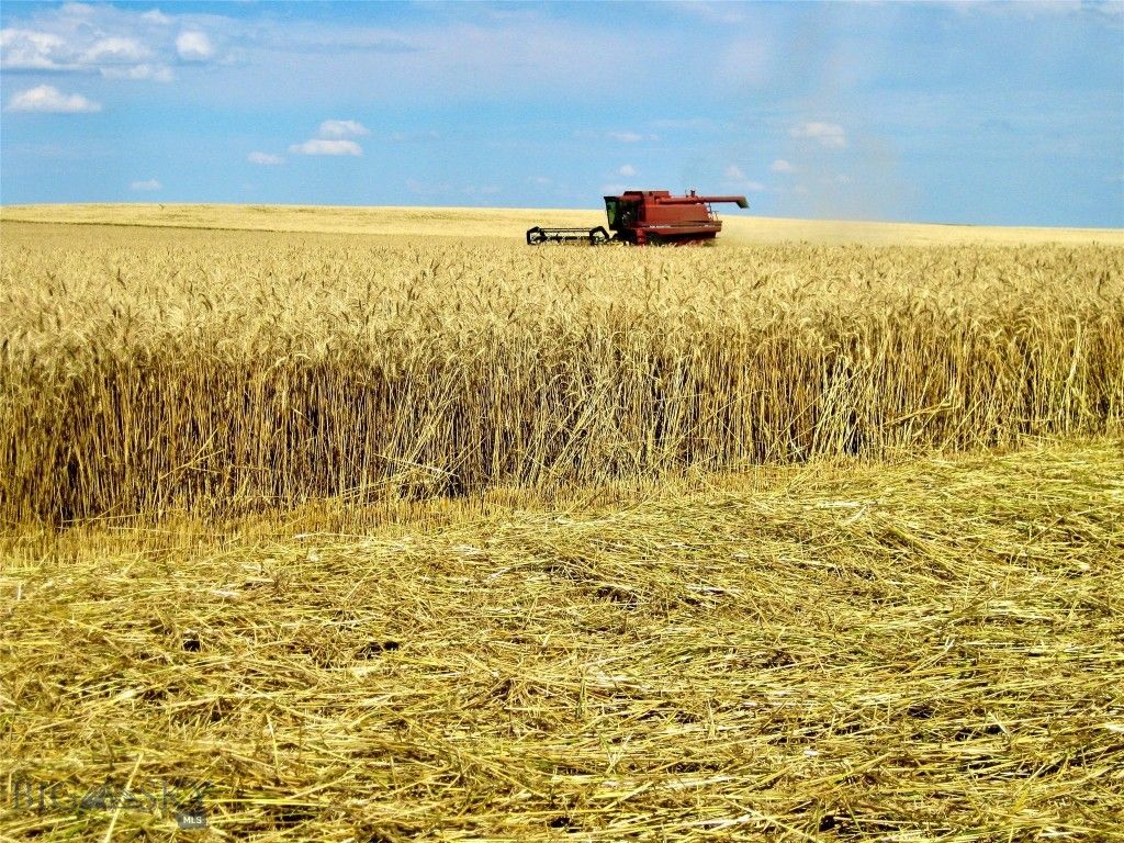 TBD Buena Vista Road, Valier, MT 59486 photo 39