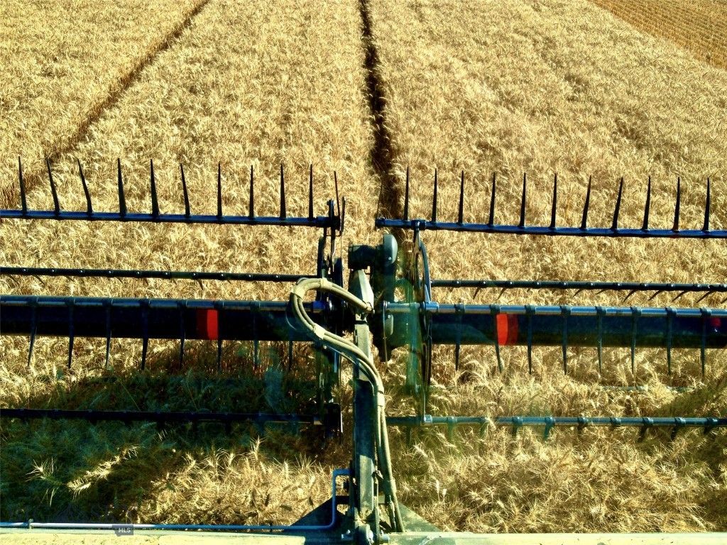 TBD Buena Vista Road, Valier, MT 59486 photo 4