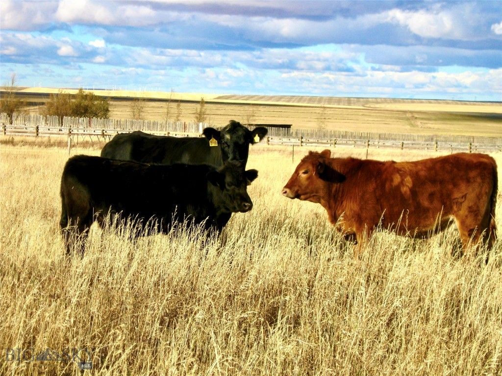 TBD Buena Vista Road, Valier, MT 59486 photo 43