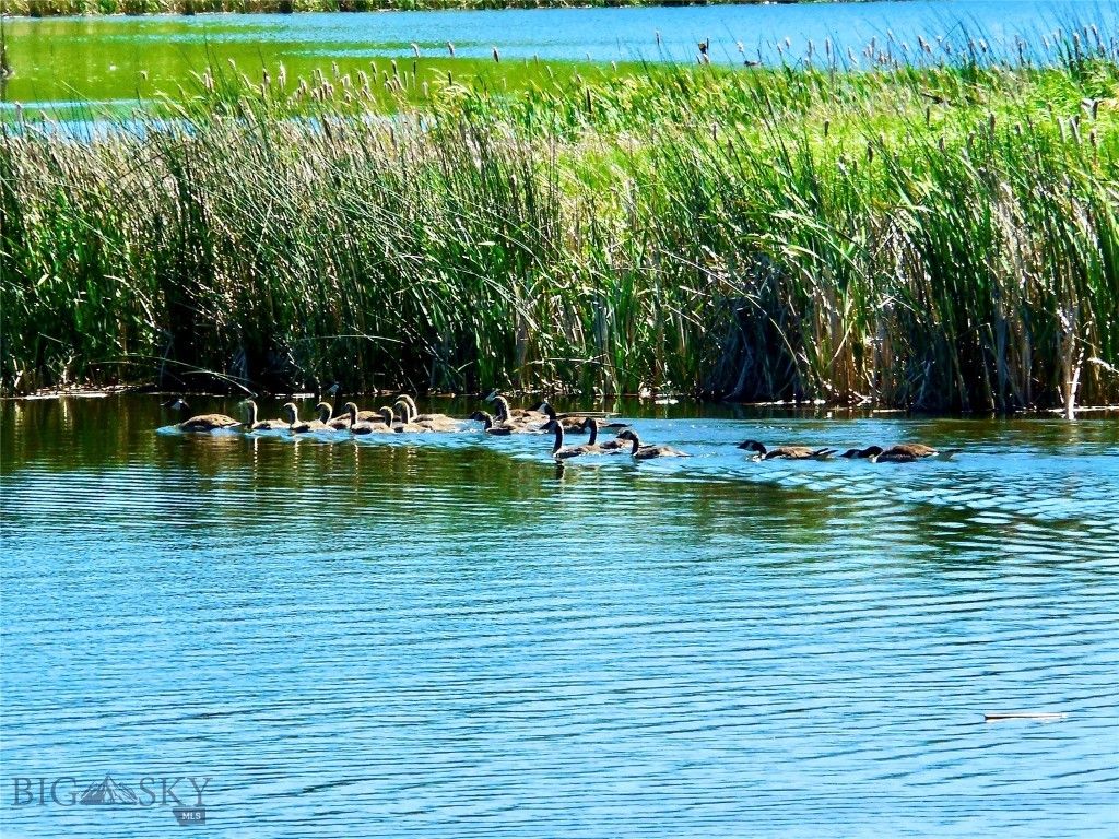 TBD Buena Vista Road, Valier, MT 59486 photo 46