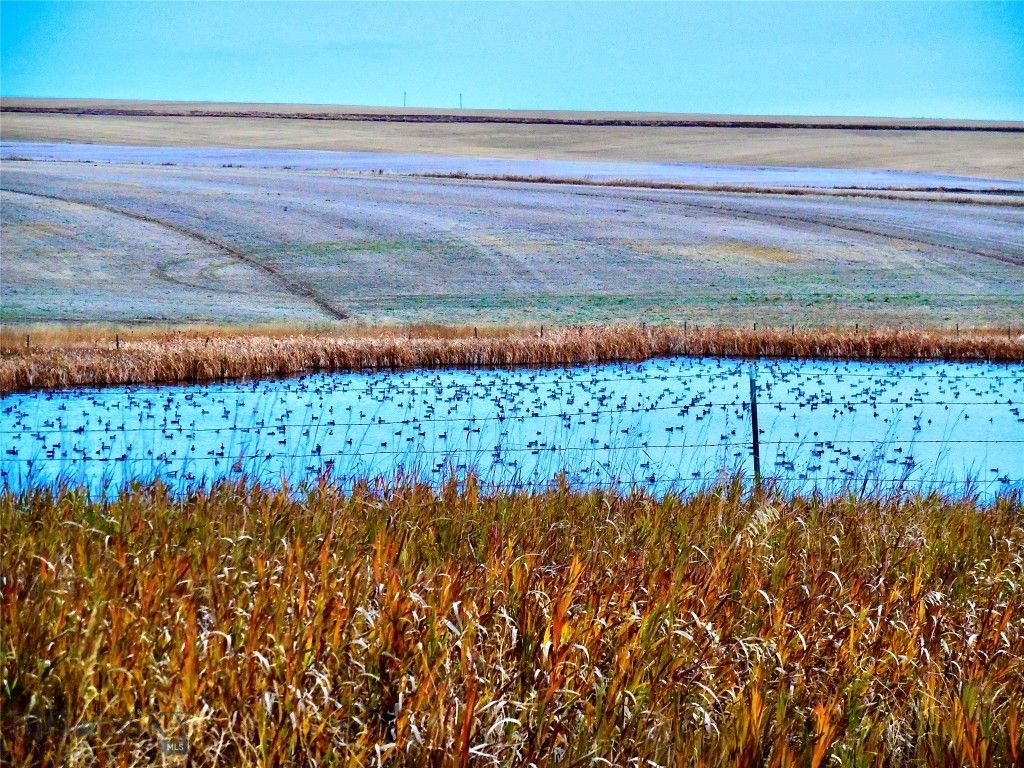 TBD Buena Vista Road, Valier, MT 59486 photo 48