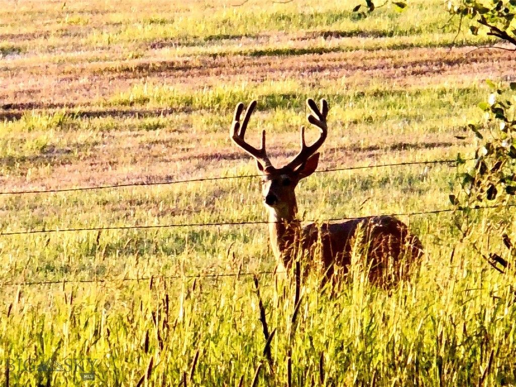 TBD Buena Vista Road, Valier, MT 59486 photo 56