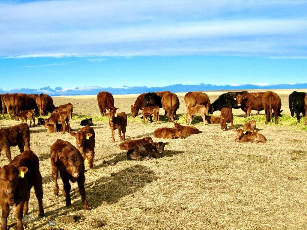 TBD Buena Vista Road, Valier, MT 59486 photo 59