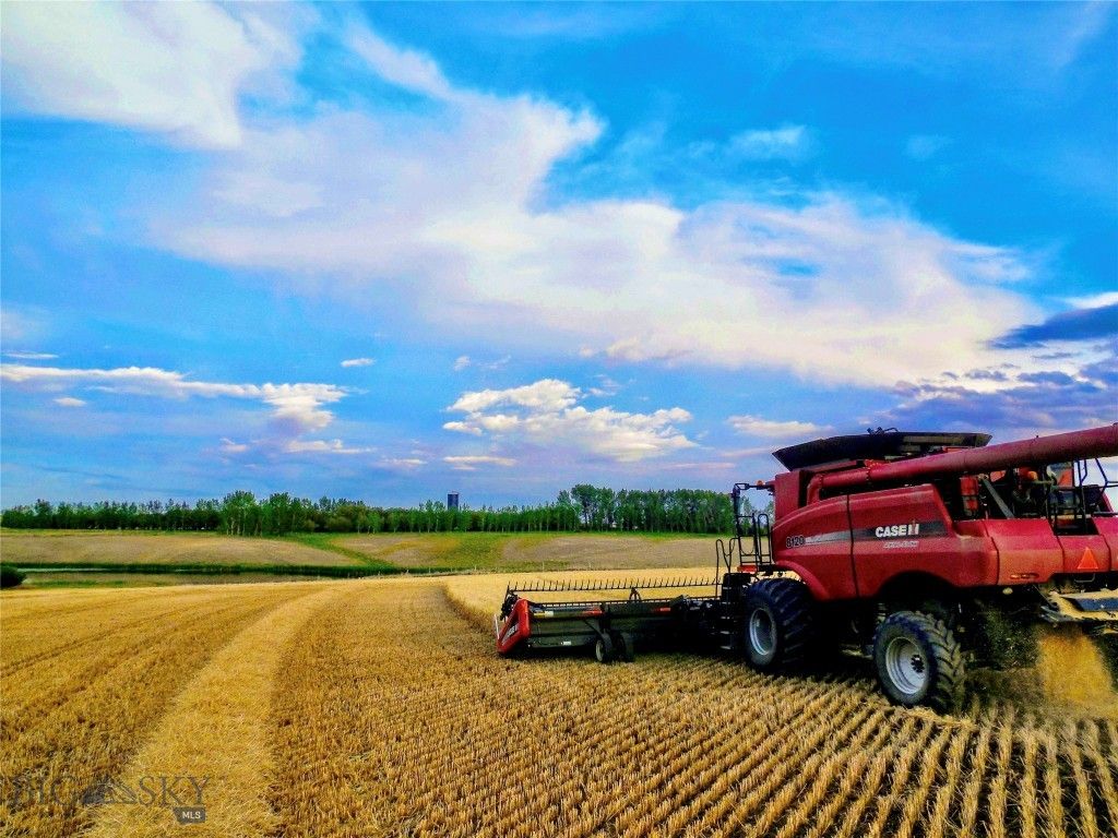 TBD Buena Vista Road, Valier, MT 59486 photo 6