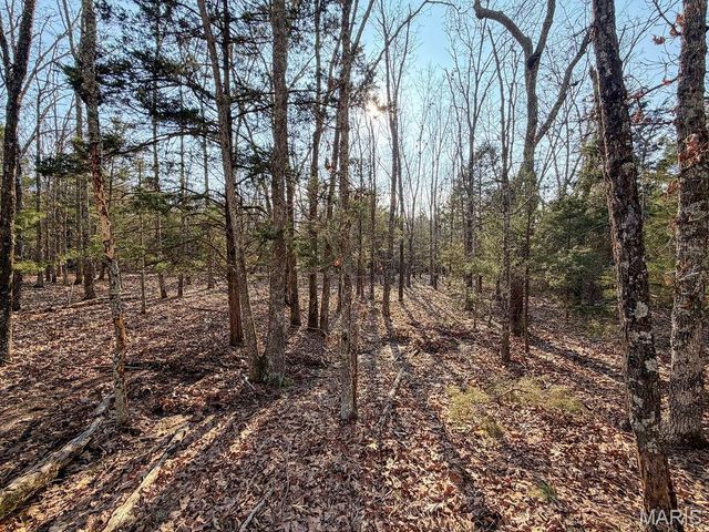 353 County Road 2400, Salem, MO 65560