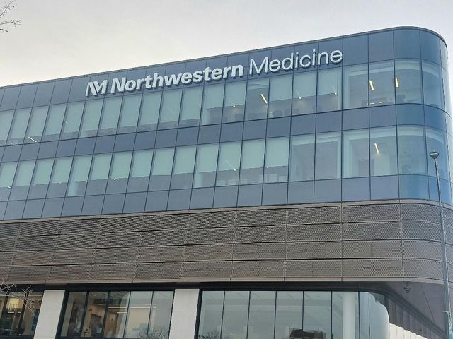 4625 S Michigan Avenue 1, Chicago, IL 60653