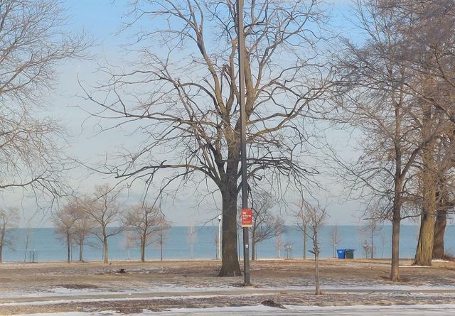 4625 S Michigan Avenue 1, Chicago, IL 60653