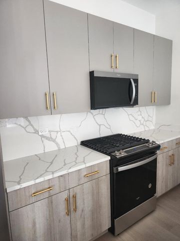 4625 S Michigan Avenue 1, Chicago, IL 60653