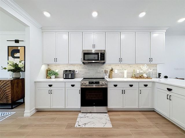 1511 W CHESTNUT STREET, Tampa, FL 33607
