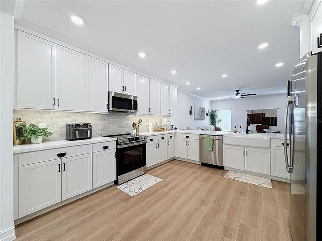 1511 W CHESTNUT STREET, Tampa, FL 33607