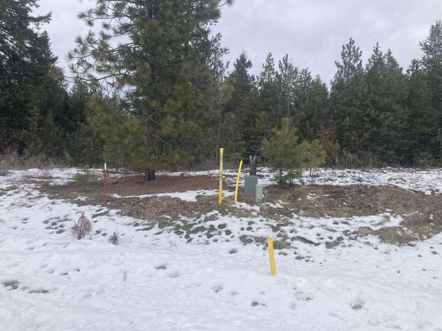 39941 Loon Lake Ct, Loon Lake, WA 99148