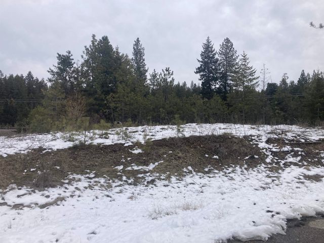 39941 Loon Lake Ct, Loon Lake, WA 99148