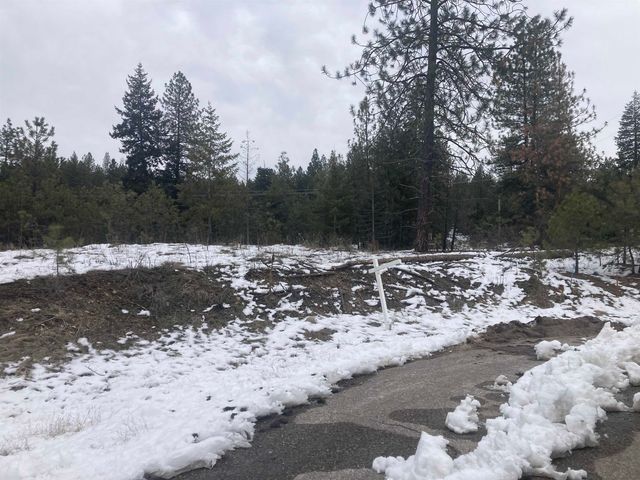 39941 Loon Lake Ct, Loon Lake, WA 99148