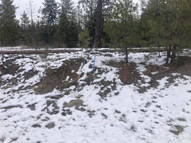 39941 Loon Lake Ct, Loon Lake, WA 99148