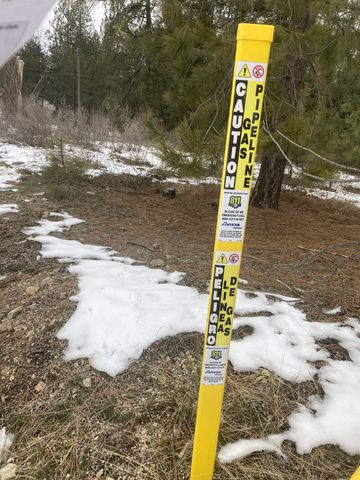 39941 Loon Lake Ct, Loon Lake, WA 99148