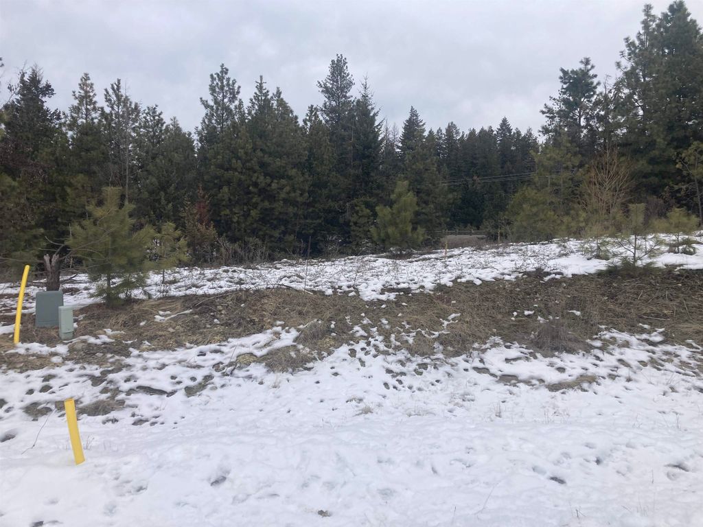 39941 Loon Lake Ct, Loon Lake, WA 99148 photo 3