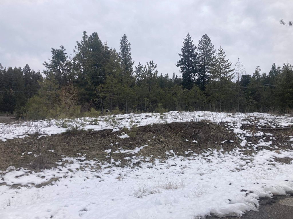 39941 Loon Lake Ct, Loon Lake, WA 99148 photo 4