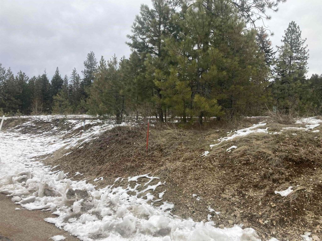 39941 Loon Lake Ct, Loon Lake, WA 99148 photo 7