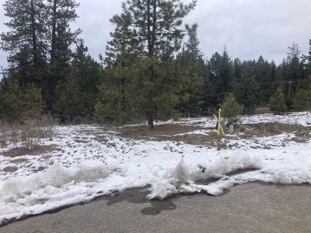 39941 Loon Lake Ct, Loon Lake, WA 99148 photo 8