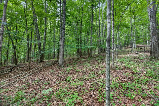 Hwy 130 Lot 5A Hwy 130 Highway, Seneca, SC 29672