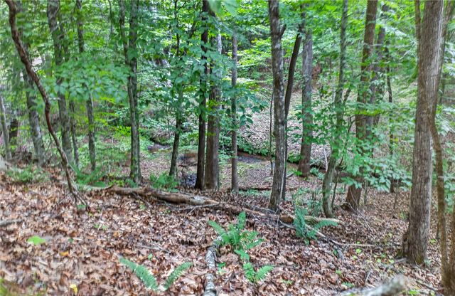 Hwy 130 Lot 5A Hwy 130 Highway, Seneca, SC 29672