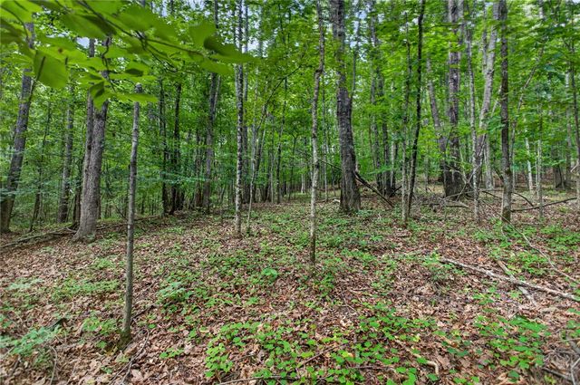 Hwy 130 Lot 5A Hwy 130 Highway, Seneca, SC 29672