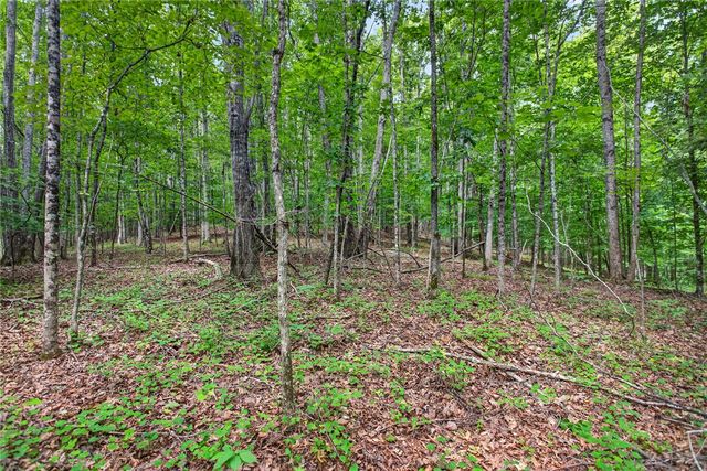Hwy 130 Lot 5A Hwy 130 Highway, Seneca, SC 29672