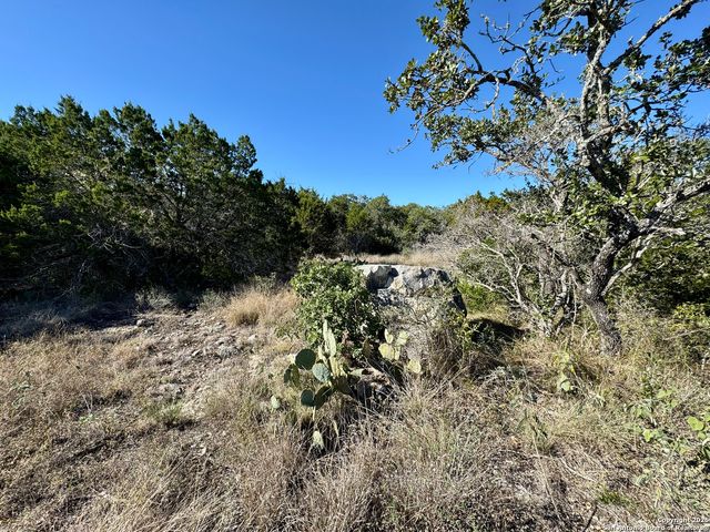 LOT 189 County Road 2816, Mico, TX 78056