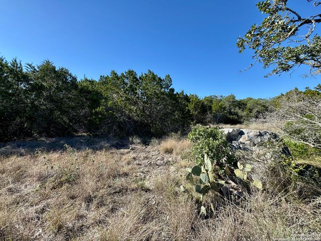 LOT 189 County Road 2816, Mico, TX 78056