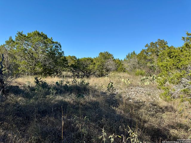 LOT 189 County Road 2816, Mico, TX 78056