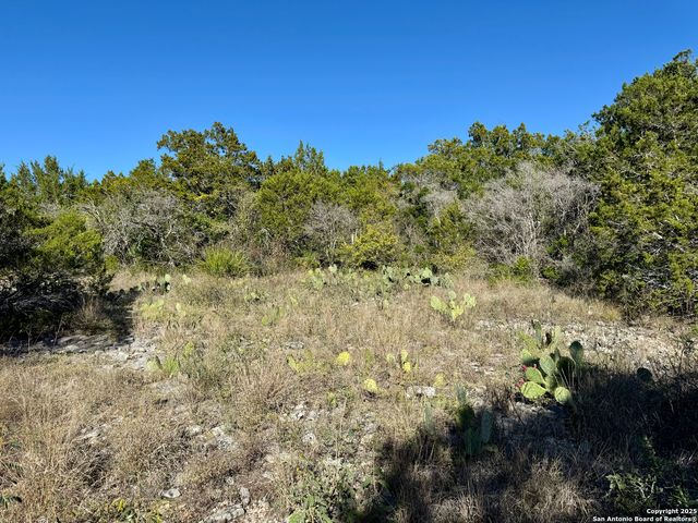 LOT 189 County Road 2816, Mico, TX 78056