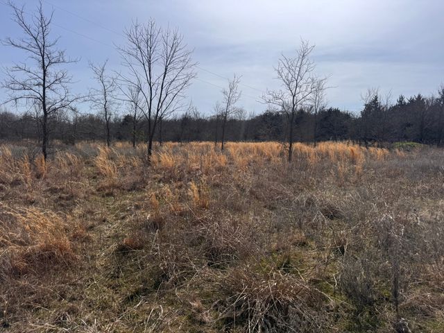 6484 State Highway 56, Bells, TX 75414