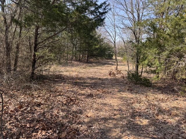 6484 State Highway 56, Bells, TX 75414