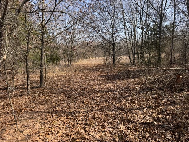 6484 State Highway 56, Bells, TX 75414