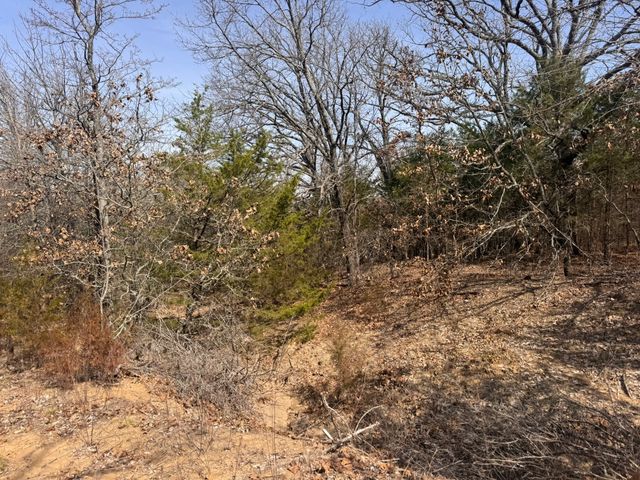 6484 State Highway 56, Bells, TX 75414