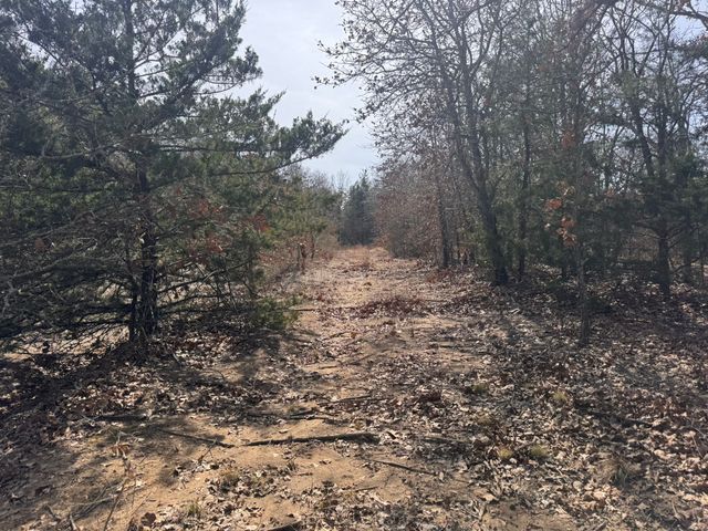 6484 State Highway 56, Bells, TX 75414