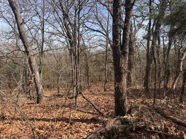 6484 State Highway 56, Bells, TX 75414