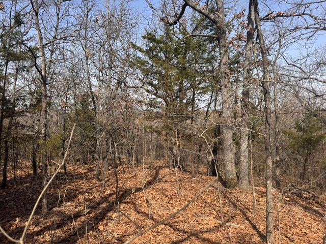 6484 State Highway 56, Bells, TX 75414