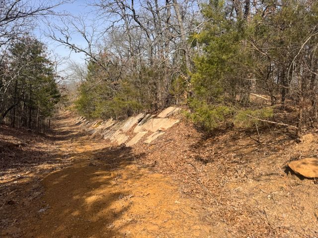 6484 State Highway 56, Bells, TX 75414